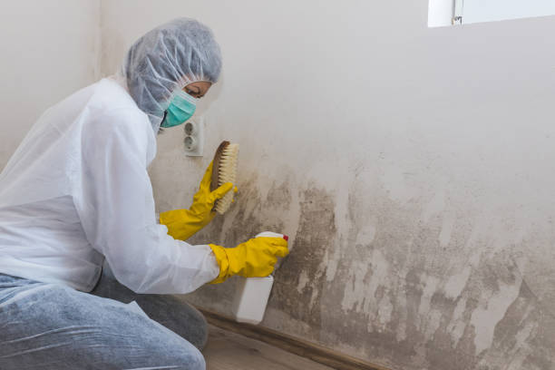 Crawl Space Mold Removal in Ohkay Owingeh, NM